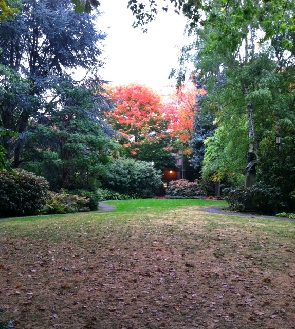 university of washington garden