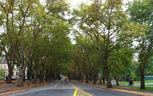 university of washington street