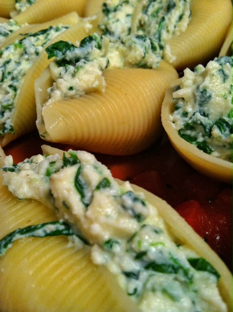 shells line up close