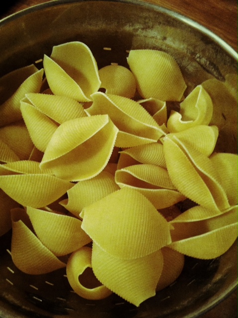 Shells Raw Pasta